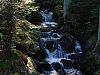 DSC05937.jpg